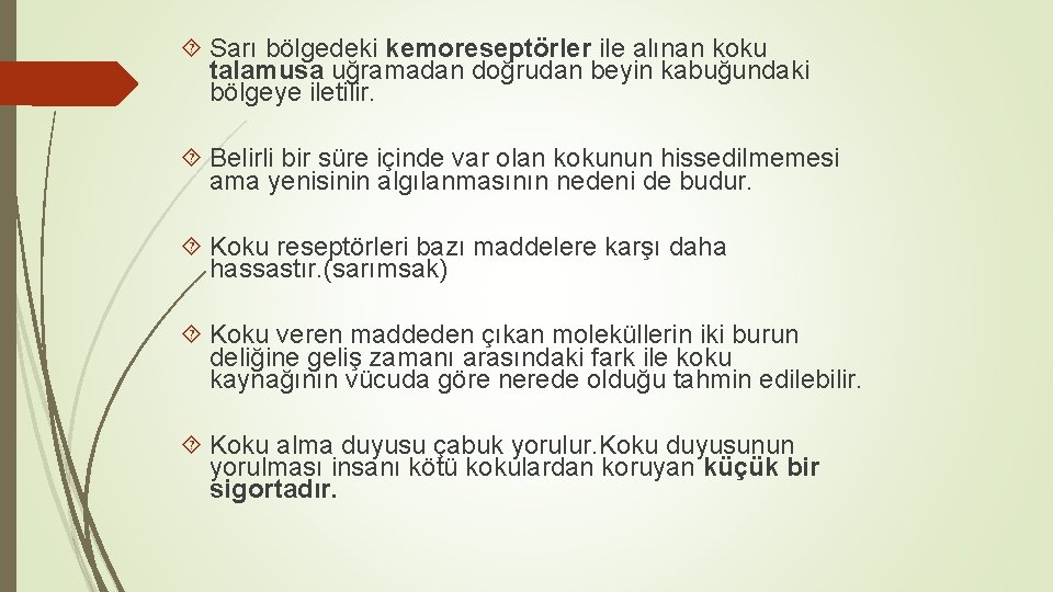 Sarı bölgedeki kemoreseptörler ile alınan koku talamusa uğramadan doğrudan beyin kabuğundaki bölgeye iletilir. Sarı bölgedeki kemoreseptörler ile alınan koku talamusa uğramadan doğrudan beyin kabuğundaki bölgeye iletilir.