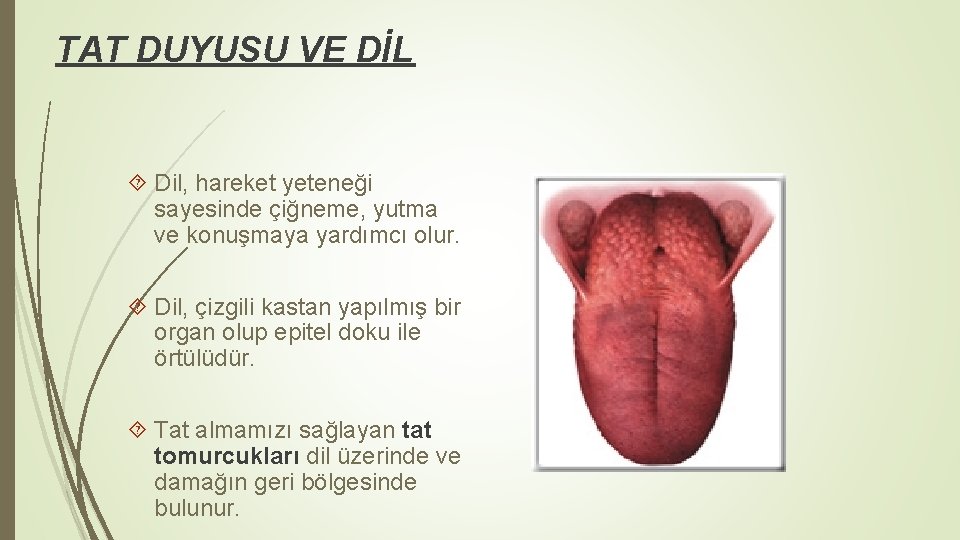 TAT DUYUSU VE DİL Dil, hareket yeteneği sayesinde çiğneme, yutma ve konuşmaya yardımcı olur. TAT DUYUSU VE DİL Dil, hareket yeteneği sayesinde çiğneme, yutma ve konuşmaya yardımcı olur.