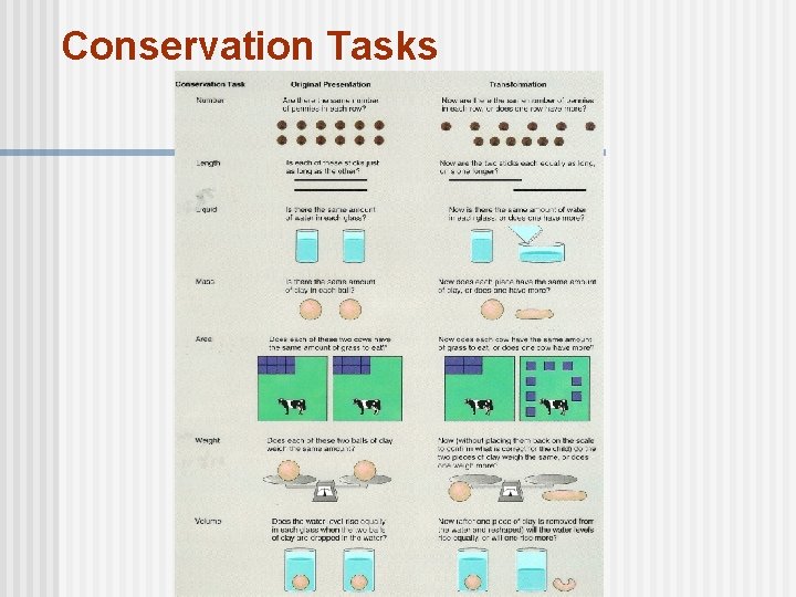 Conservation Tasks 