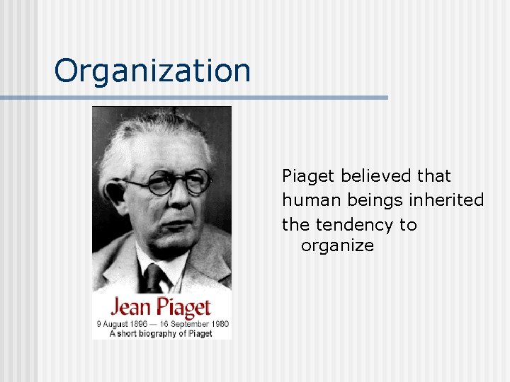 Organization Piaget believed that human beings inherited the tendency to organize 