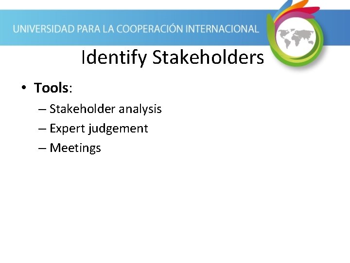 Identify Stakeholders • Tools: – Stakeholder analysis – Expert judgement – Meetings 