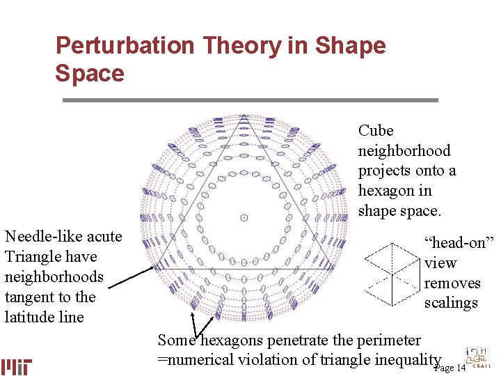 Perturbation Theory in Shape Space Cube neighborhood projects onto a hexagon in shape space.