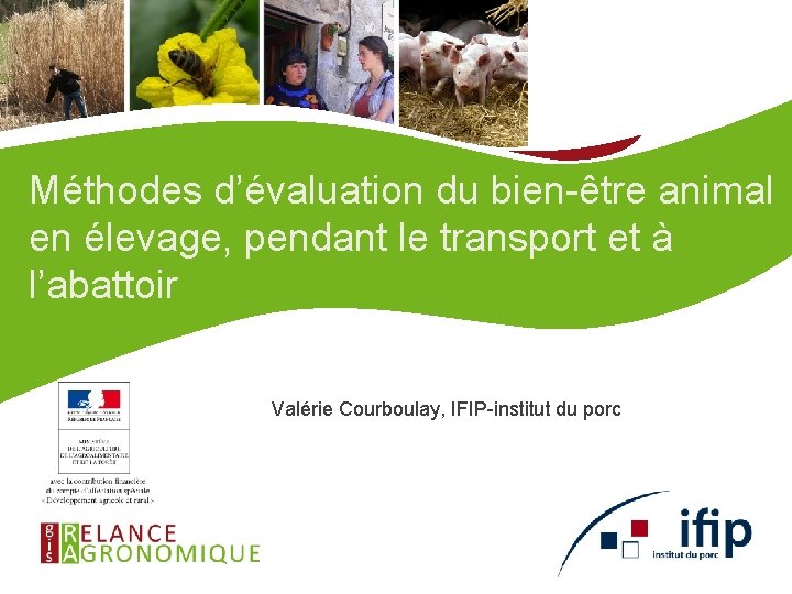  Méthodes d’évaluation du bien-être animal en élevage, pendant le transport et à l’abattoir