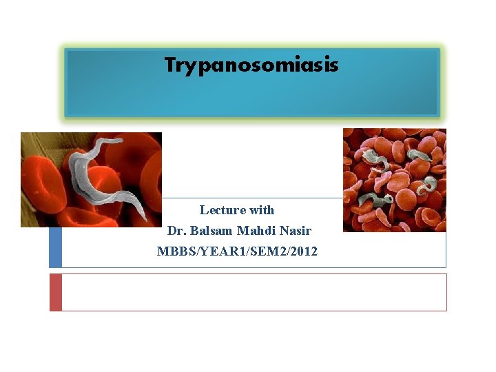 Trypanosomiasis Lecture with Dr. Balsam Mahdi Nasir MBBS/YEAR 1/SEM 2/2012 