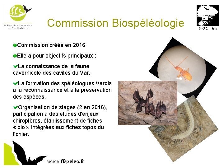 Commission Biospéléologie Commission créée en 2016 Elle a pour objectifs principaux : La connaissance