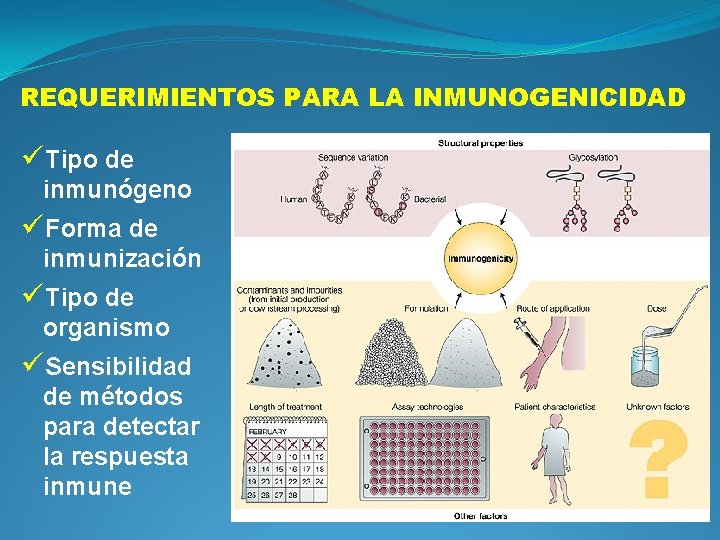 REQUERIMIENTOS PARA LA INMUNOGENICIDAD üTipo de inmunógeno üForma de inmunización üTipo de organismo üSensibilidad