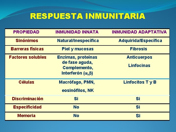 RESPUESTA INMUNITARIA PROPIEDAD INMUNIDAD INNATA INMUNIDAD ADAPTATIVA Sinónimos Natural/Inespecífica Adquirida/Específica Barreras físicas Piel y