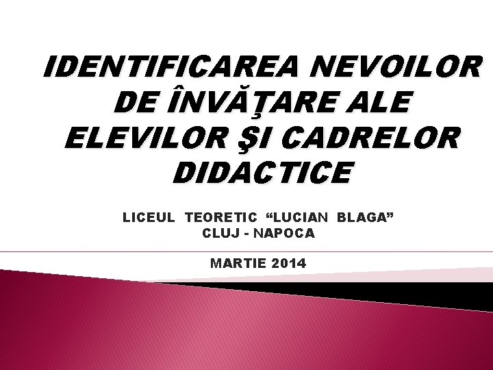 IDENTIFICAREA NEVOILOR DE ÎNVĂŢARE ALE ELEVILOR ŞI CADRELOR DIDACTICE LICEUL TEORETIC “LUCIAN BLAGA” CLUJ