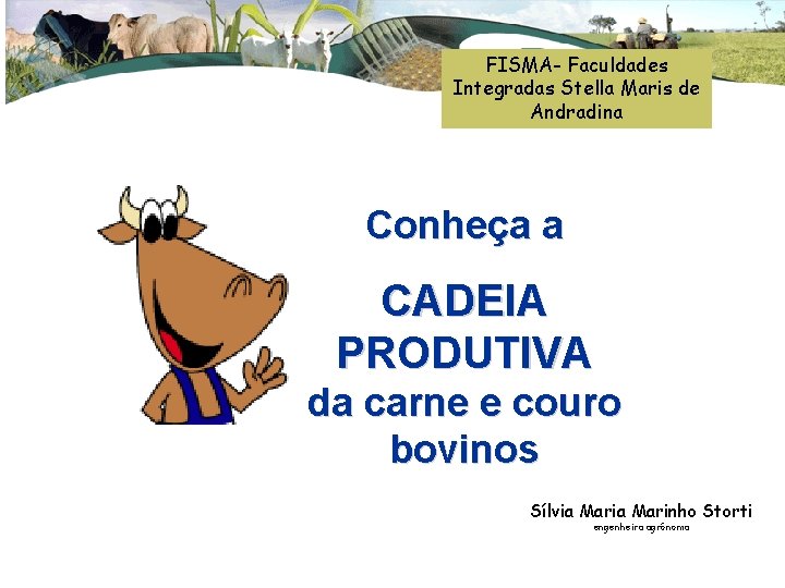 FISMA- Faculdades Integradas Stella Maris de Andradina Conheça a CADEIA PRODUTIVA da carne e