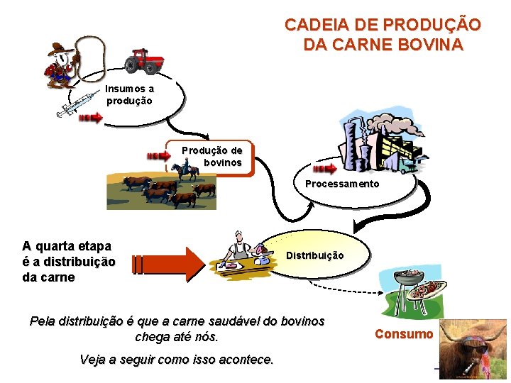 CADEIA DE PRODUÇÃO DA CARNE BOVINA Insumos a produção Produção de bovinos Processamento A