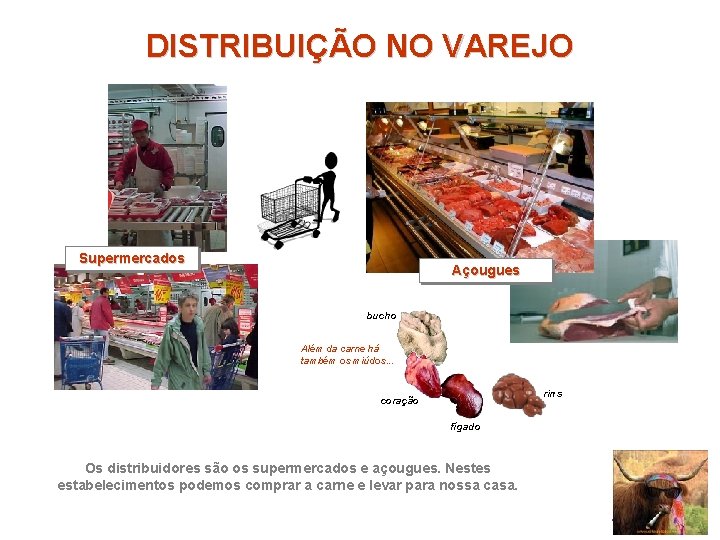 DISTRIBUIÇÃO NO VAREJO Supermercados Açougues bucho Além da carne há também os miúdos. .