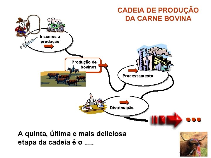 CADEIA DE PRODUÇÃO DA CARNE BOVINA Insumos a produção Produção de bovinos Processamento Distribuição