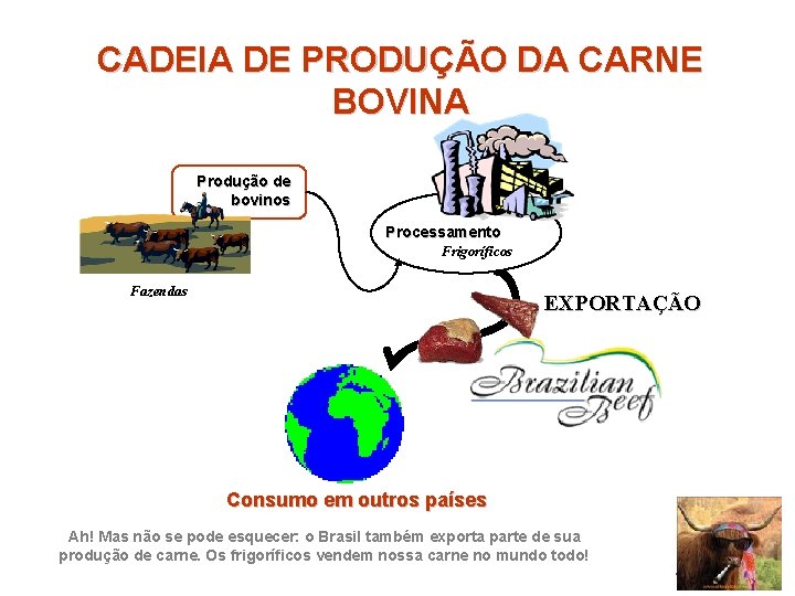 CADEIA DE PRODUÇÃO DA CARNE BOVINA Produção de bovinos Processamento Frigoríficos Fazendas EXPORTAÇÃO Consumo