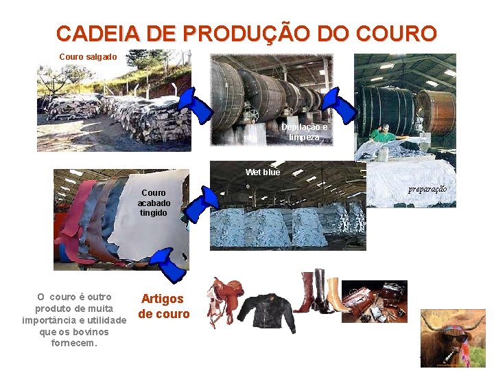 CADEIA DE PRODUÇÃO DO COURO Couro salgado Depilação e limpeza Wet blue Couro acabado