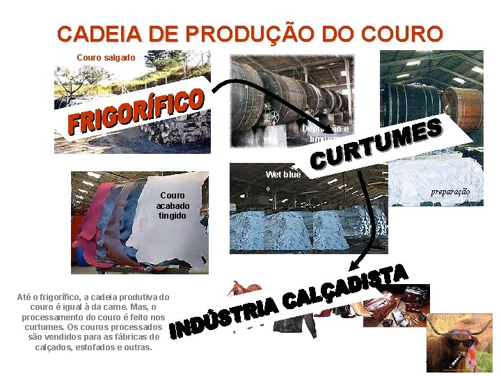 CADEIA DE PRODUÇÃO DO COURO Couro salgado Depilação e limpeza Wet blue Couro acabado