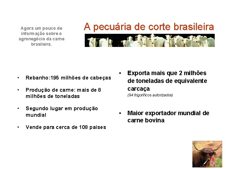 Agora um pouco de informação sobre o agronegócio da carne brasileira. A pecuária de