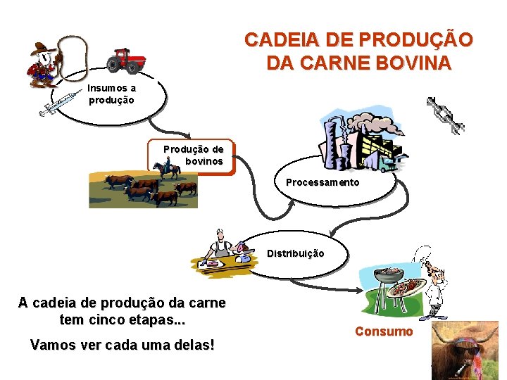 CADEIA DE PRODUÇÃO DA CARNE BOVINA Insumos a produção Produção de bovinos Processamento Distribuição