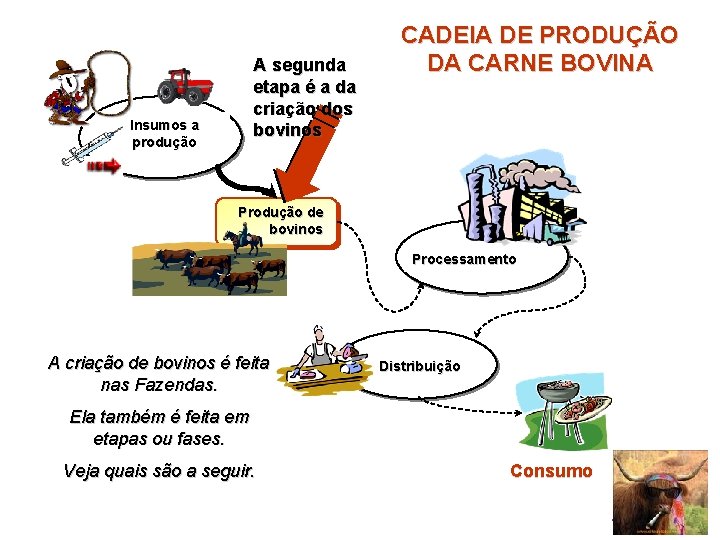 A segunda etapa é a da criação dos bovinos Insumos a produção CADEIA DE