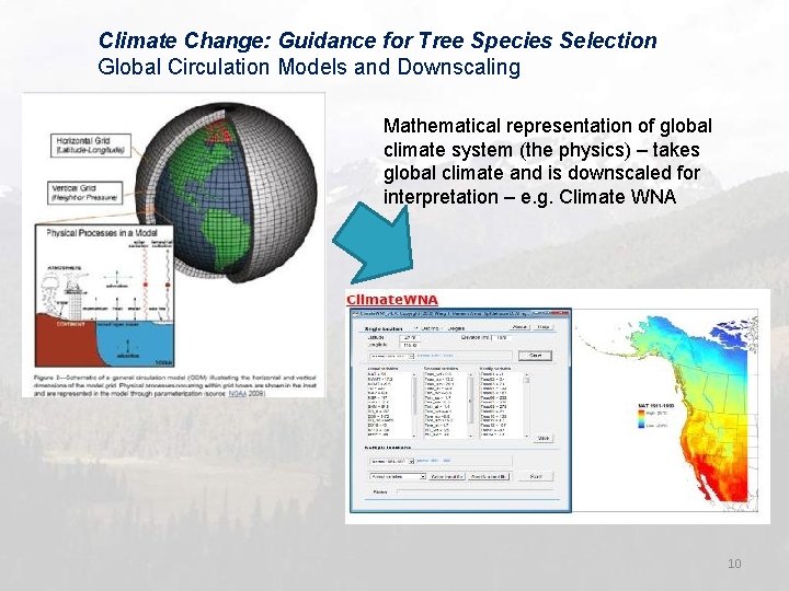 Climate Change: Guidance for Tree Species Selection Global Circulation Models and Downscaling Mathematical representation