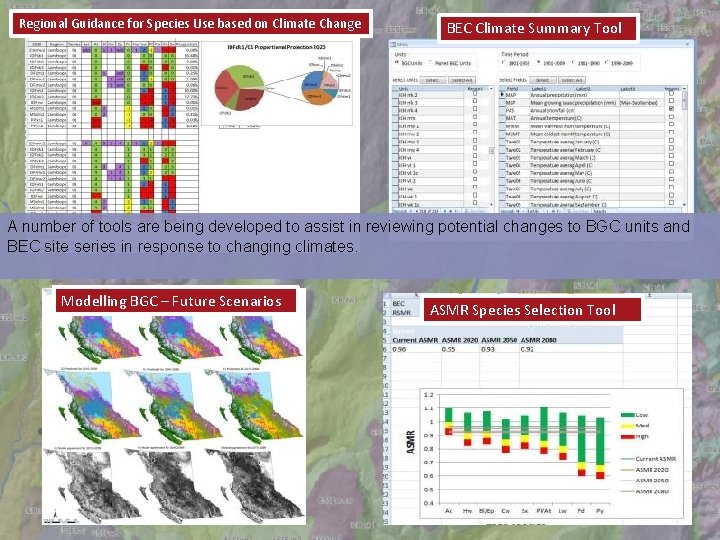 Regional Guidance for Species Use based on Climate Change BEC Climate Summary Tool A