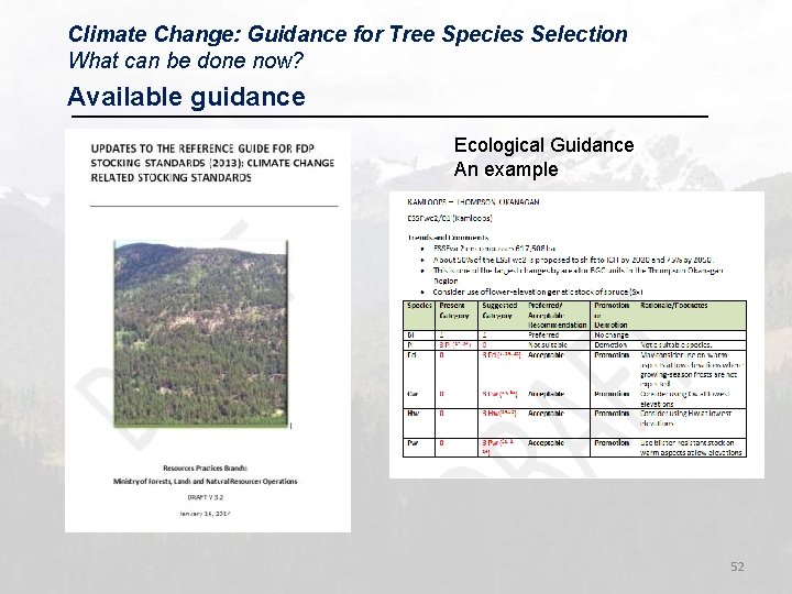 Climate Change: Guidance for Tree Species Selection What can be done now? Available guidance