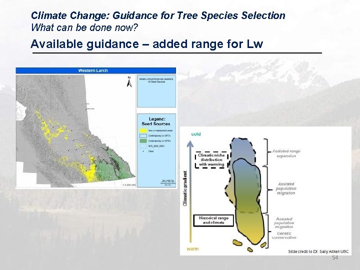 Climate Change: Guidance for Tree Species Selection What can be done now? Available guidance