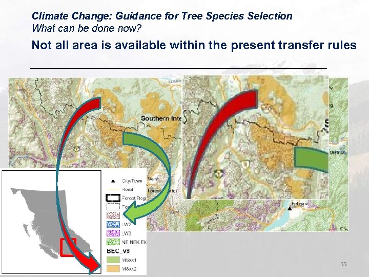 Climate Change: Guidance for Tree Species Selection What can be done now? Not all