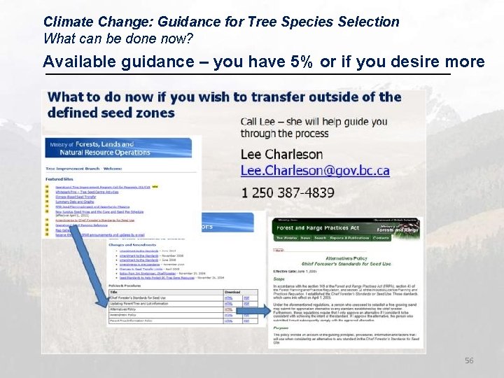 Climate Change: Guidance for Tree Species Selection What can be done now? Available guidance