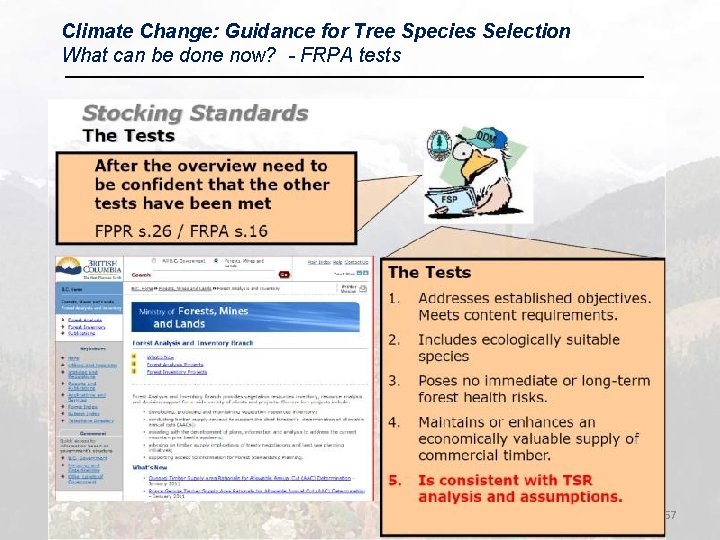 Climate Change: Guidance for Tree Species Selection What can be done now? - FRPA