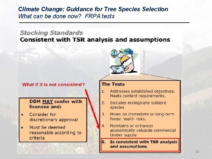 Climate Change: Guidance for Tree Species Selection What can be done now? FRPA tests