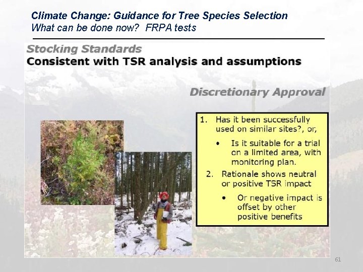 Climate Change: Guidance for Tree Species Selection What can be done now? FRPA tests