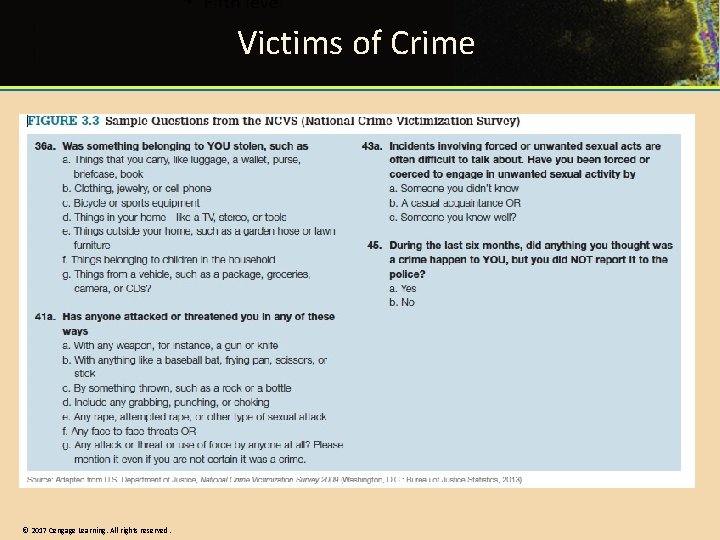 Victims of Crime © 2017 Cengage Learning. All rights reserved. 