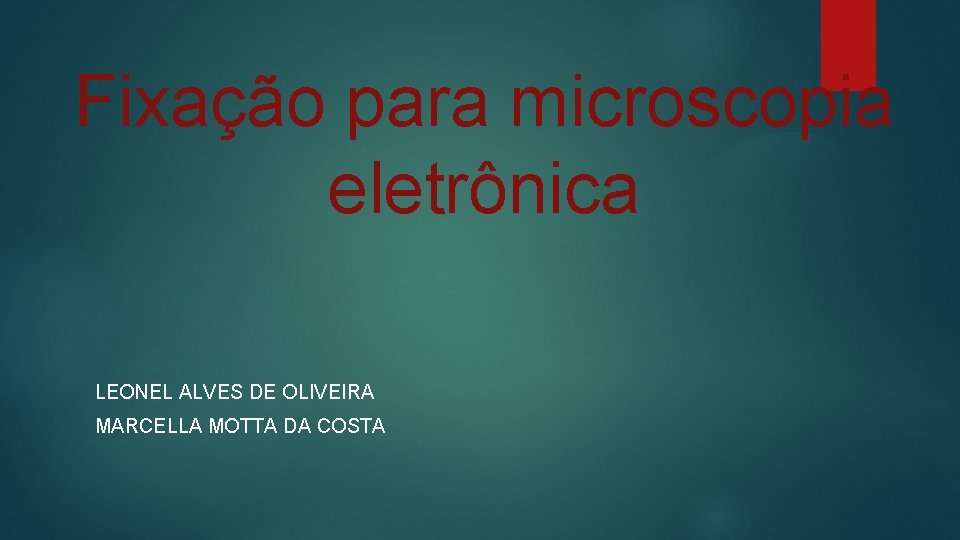 Fixação para microscopia eletrônica LEONEL ALVES DE OLIVEIRA MARCELLA MOTTA DA COSTA 