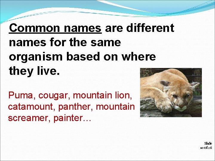 Common names are different names for the same organism based on where they live.