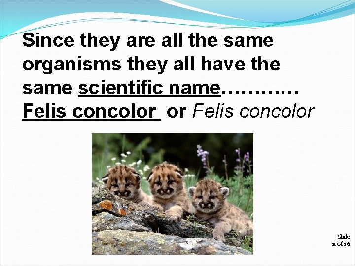 Since they are all the same organisms they all have the same scientific name…………