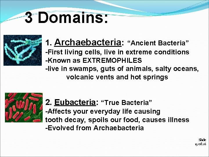 3 Domains: 1. Archaebacteria: “Ancient Bacteria” -First living cells, live in extreme conditions -Known