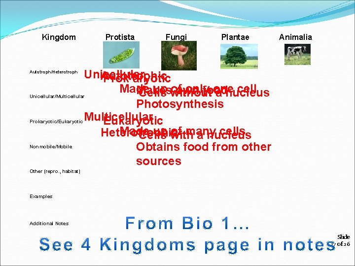 Kingdom Protista Fungi Plantae Animalia Unicellular Autotrophic Prok aryotic Made up without of only