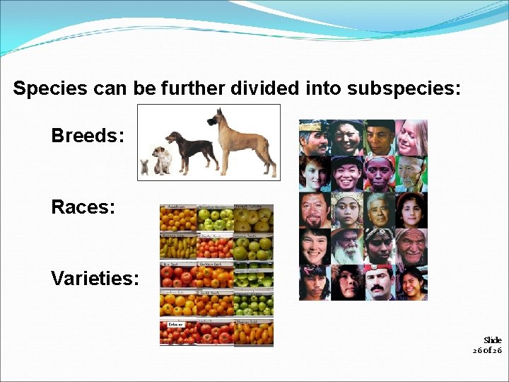 Species can be further divided into subspecies: Breeds: Races: Varieties: Slide 26 of 26