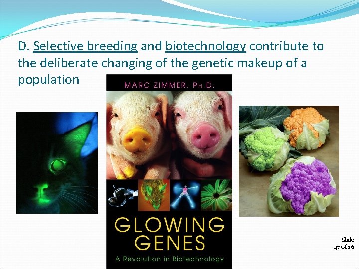 D. Selective breeding and biotechnology contribute to the deliberate changing of the genetic makeup