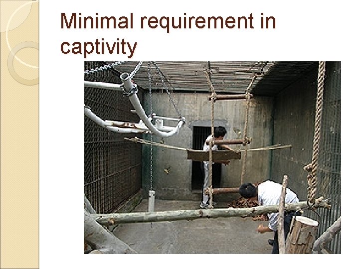 Minimal requirement in captivity 