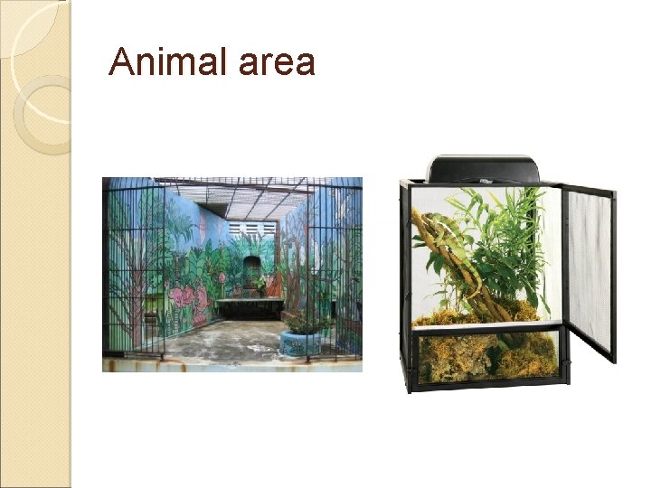 Animal area 