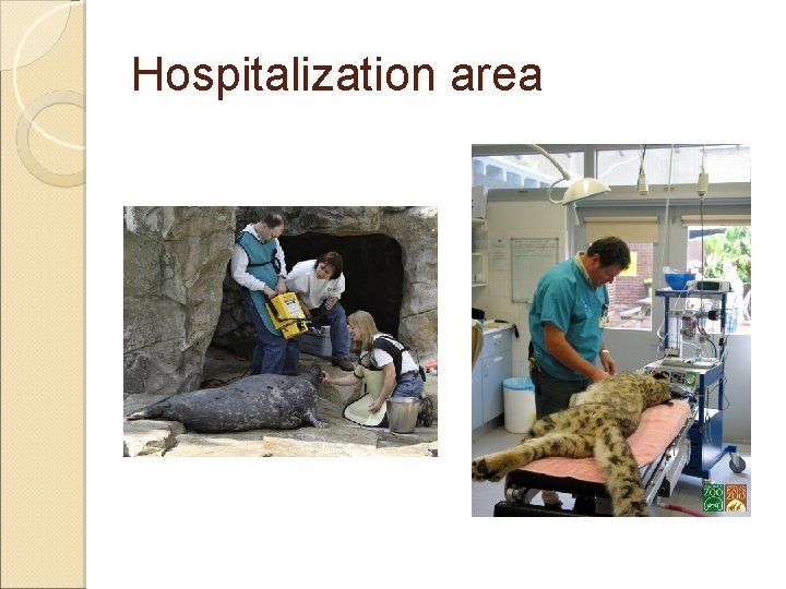 Hospitalization area 