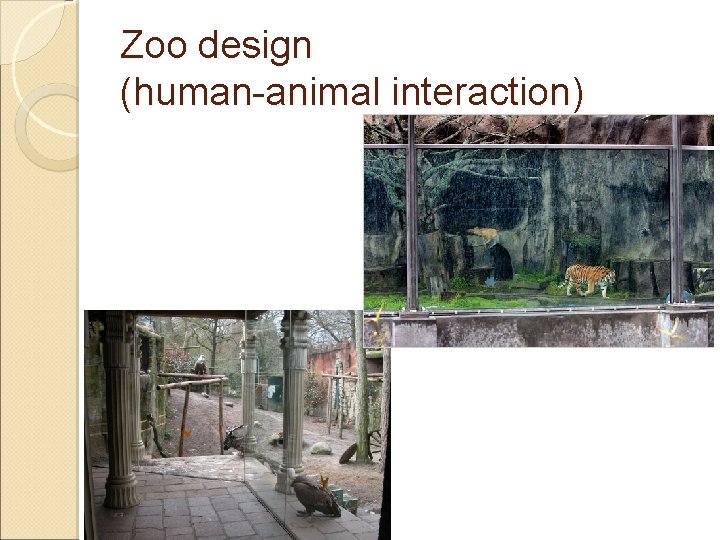 Zoo design (human-animal interaction) 