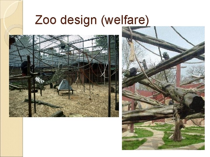 Zoo design (welfare) 