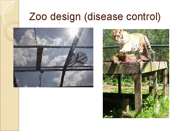 Zoo design (disease control) 