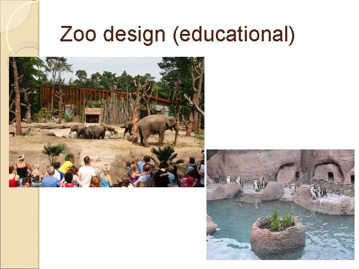 Zoo design (educational) 