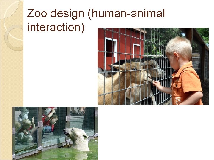 Zoo design (human-animal interaction) 