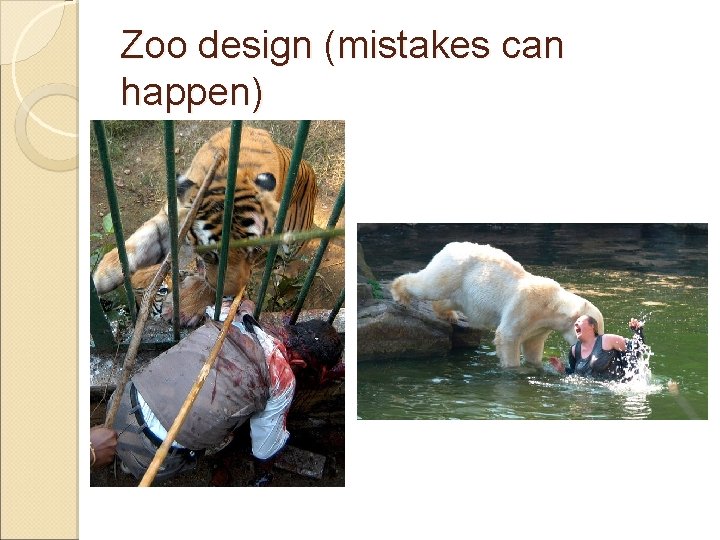 Zoo design (mistakes can happen) 