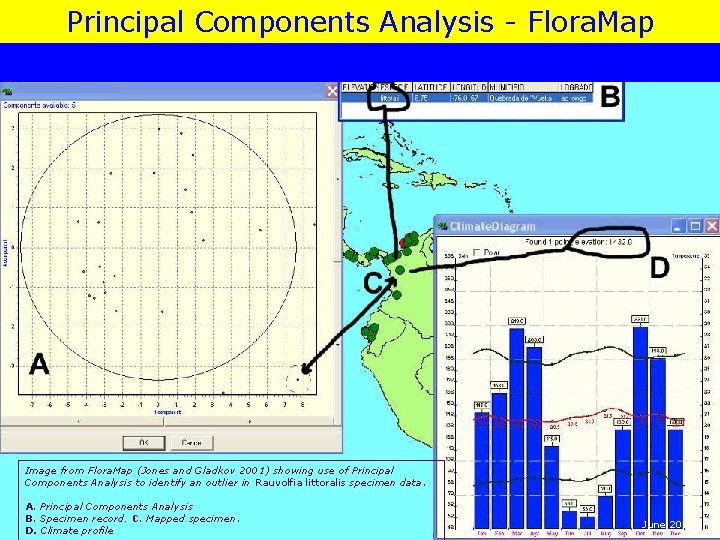 Principal Components Analysis - Flora. Map Image from Flora. Map (Jones and Gladkov 2001)