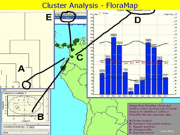 Cluster Analysis - Flora. Map Image from Flora. Map (Jones and Gladkov 2001) showing